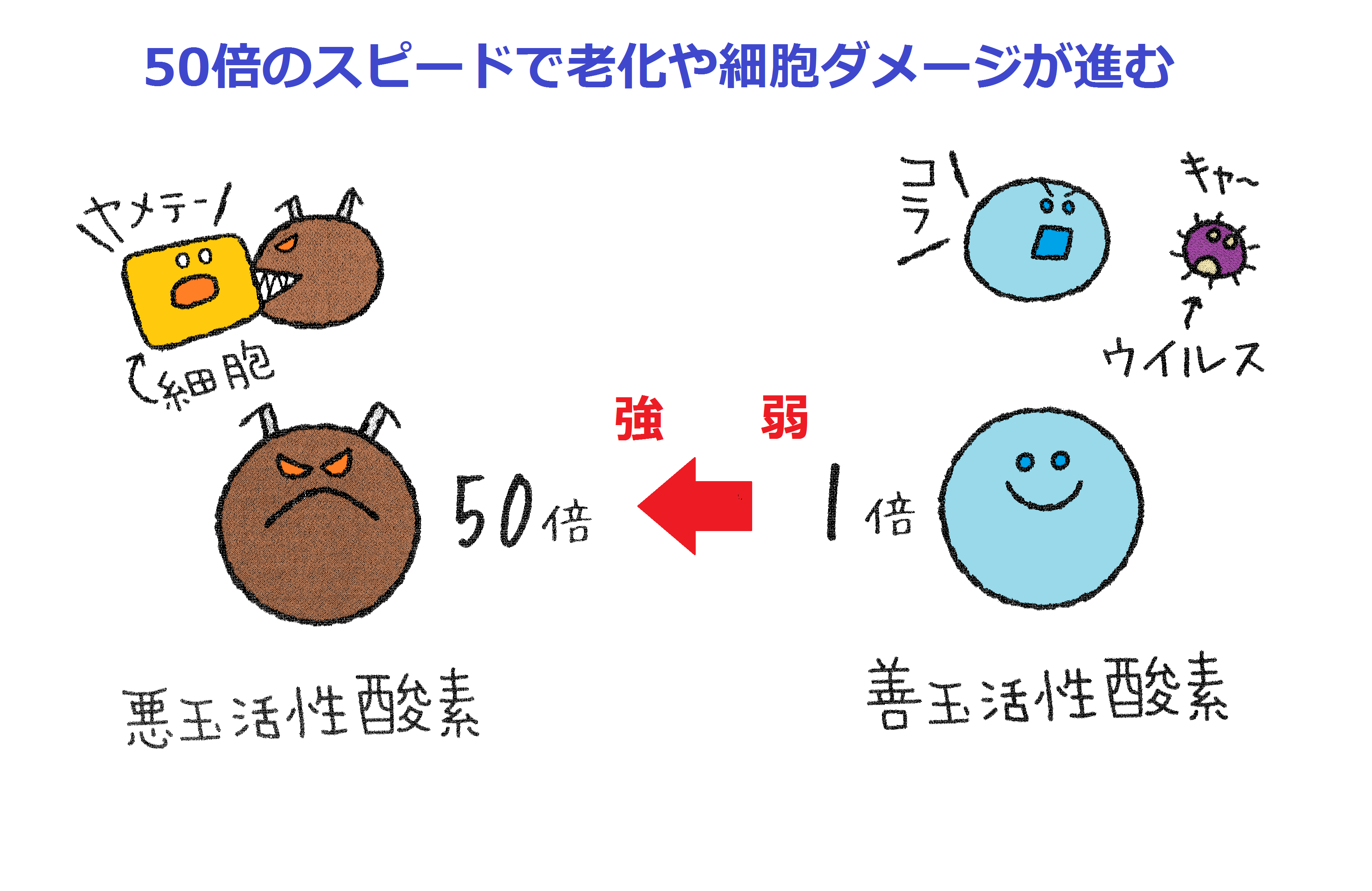 悪玉活性酸素が増えると老化がどんどん進む ヘルシーリンパのブログ 有限会社ヘルシーリンパ ヘルシーリンパ協会